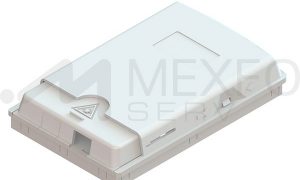 Empty Closed 2-port wall outlet terminal box